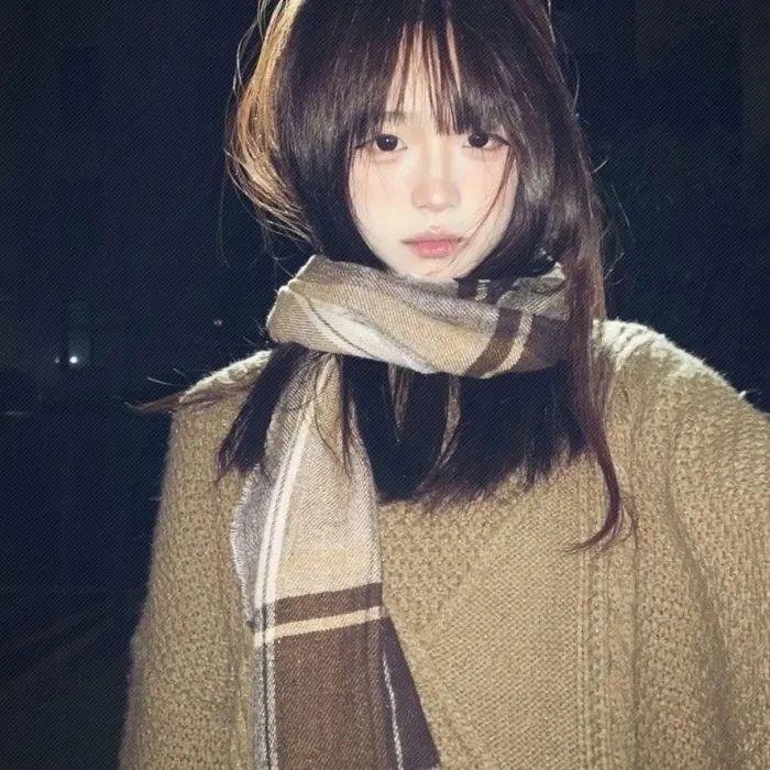 彩叶草之梦
